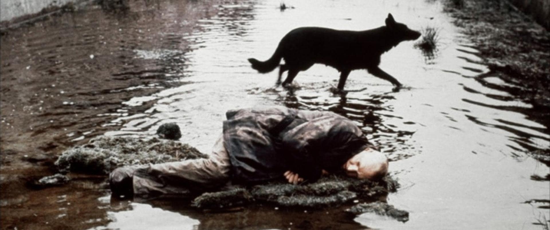 ac05efd2bff14d2e86e675ebd1006c1b_large