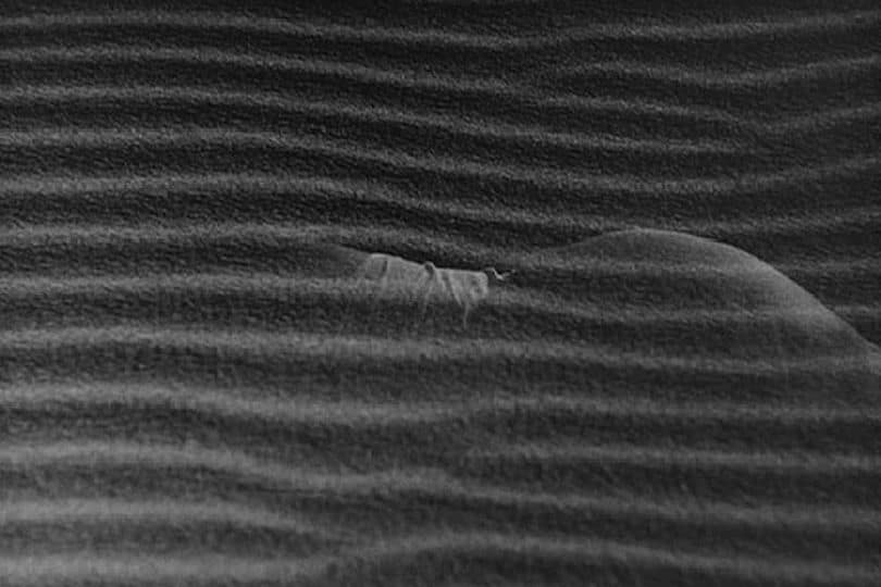 273505041_10228674264902923_7660519803044437456_n